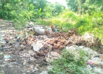 Pinggiran Sungai Halabolu Jadi Tempat Pembuangan Sampah