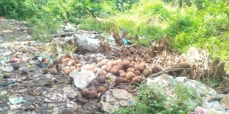 Pinggiran Sungai Halabolu Jadi Tempat Pembuangan Sampah